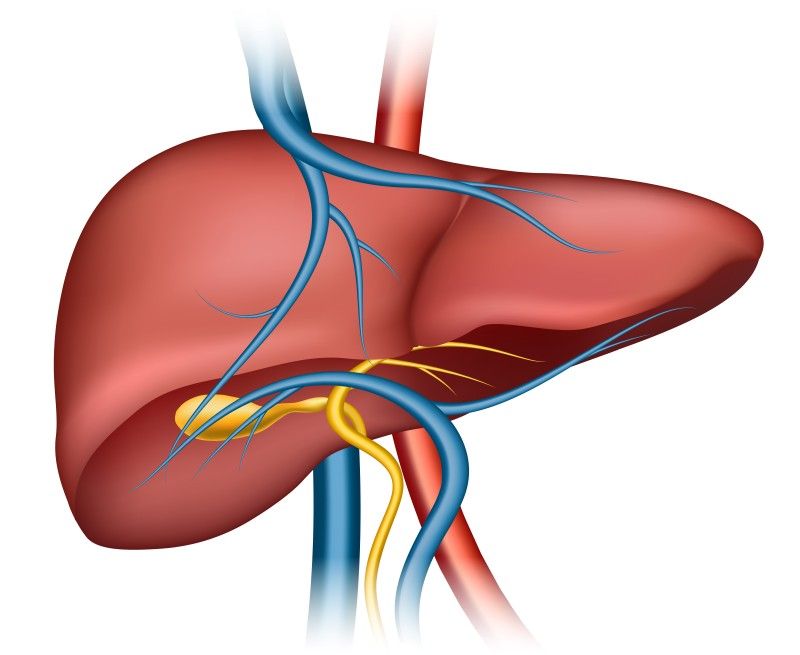 liver-transplant-in-mumbai-india